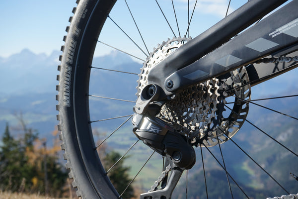 Shimano Di2 Schaltwerk auf einem Rotwild R.EX900 E-Mountainbike mit Eightpins Stiffshifter UDH Schaltwerksabstützung und DJi Motor vor schöner Bergandschaft.